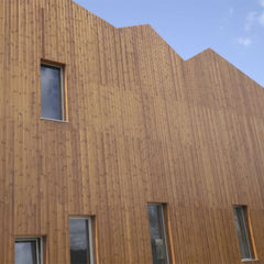 20 mm x 117 mm Thermowood TGV Cladding