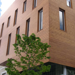 20 mm x 142 mm Thermowood TGV Cladding